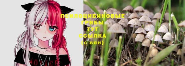амф Баксан